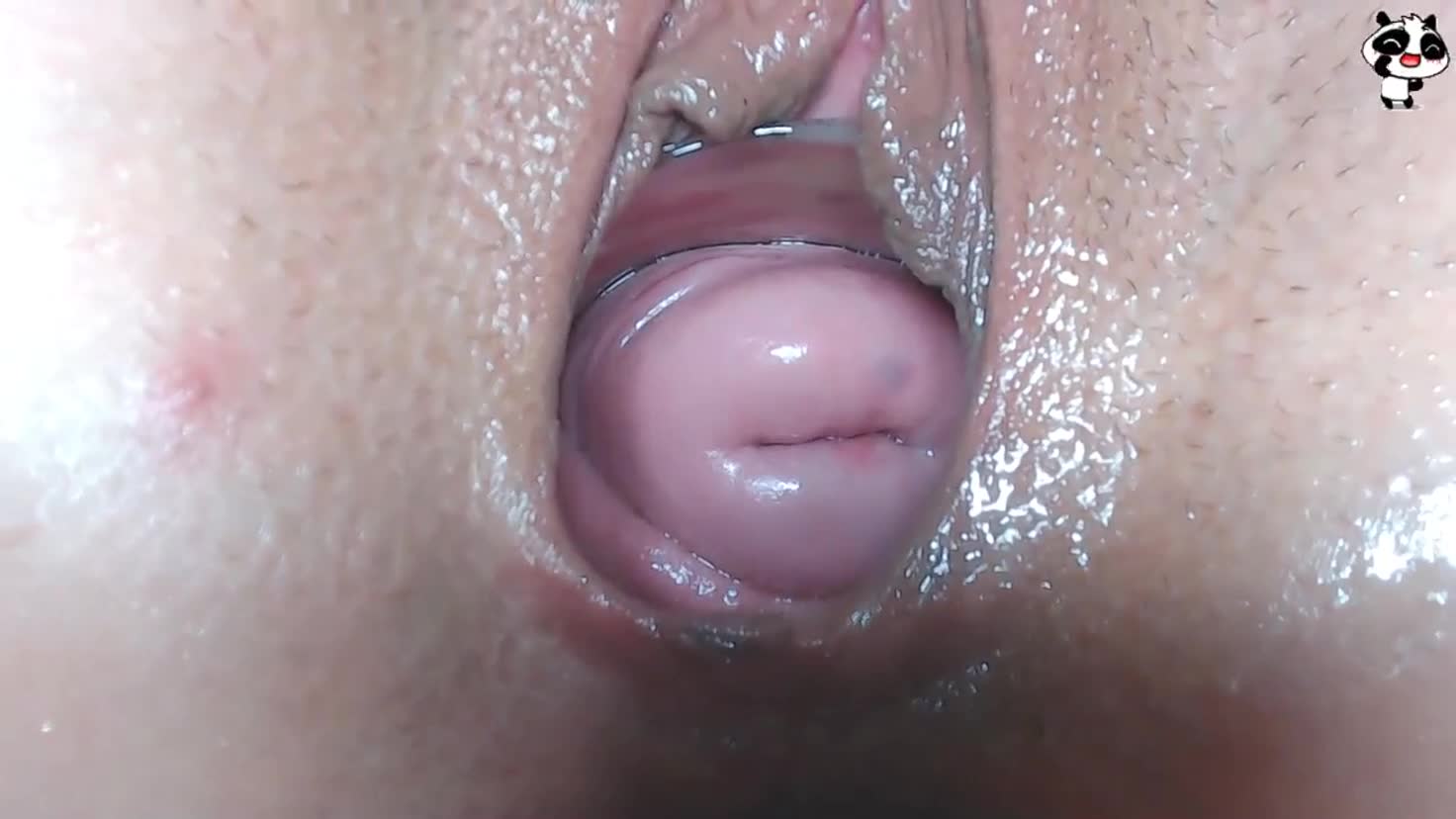 Poster for What does a close-up of the clitoris look like?