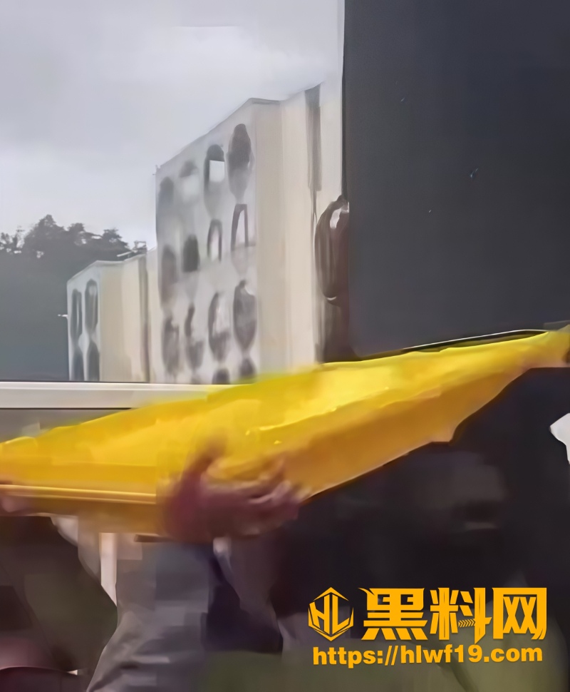 法国高中生全国大暴动3
