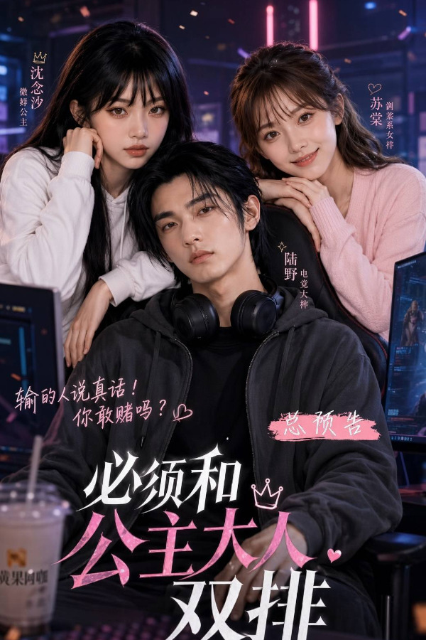 Плакат для 必须和公主大人双排PE8