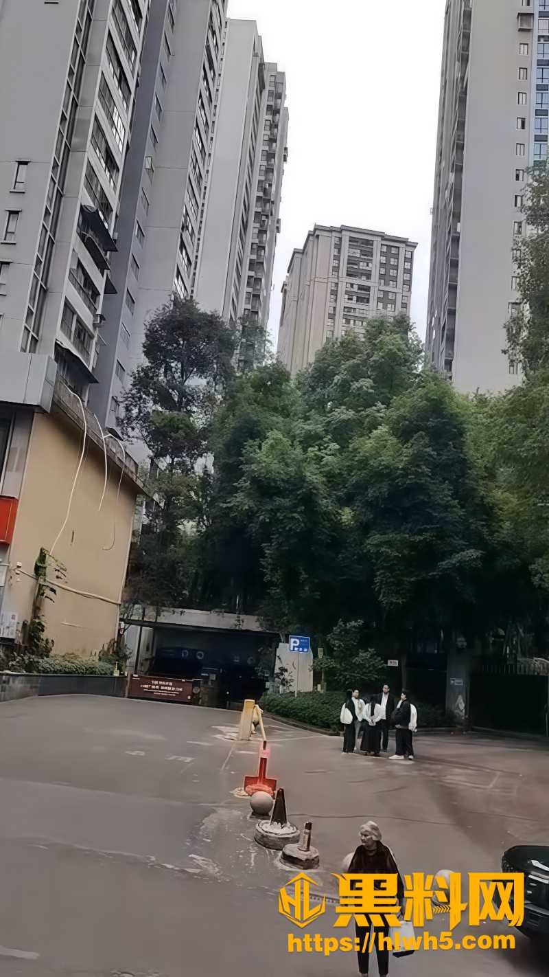 婚育问题3