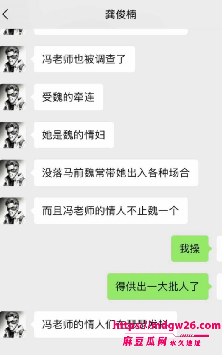 正部级官员 魏小东12