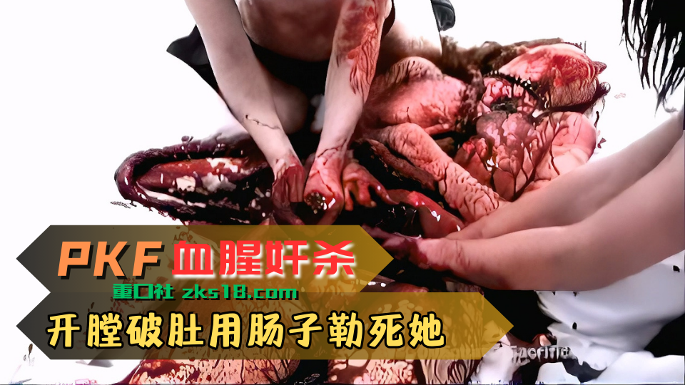 Poster for 开膛破肚用肠子勒死她