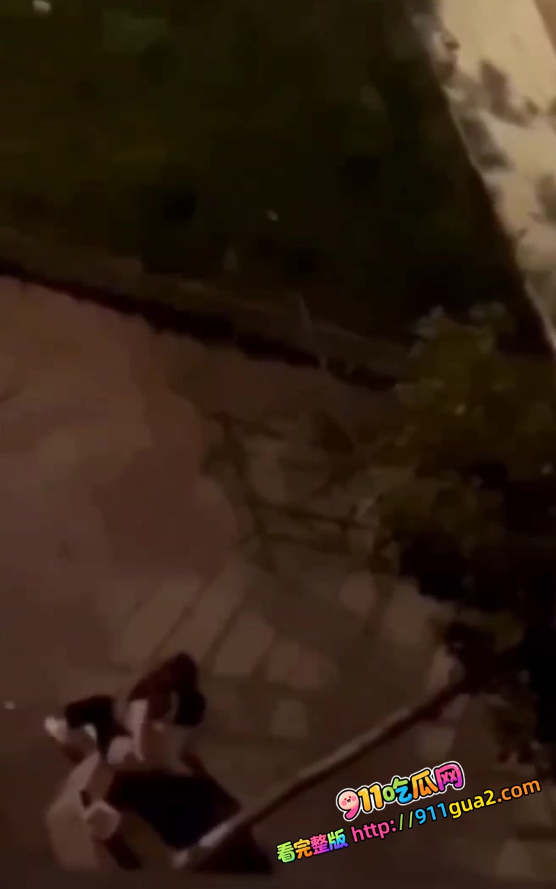 震惊！海南小区楼下情侣一时没忍住  公然脱裤口嗦鸡巴 抱起来来回抽插 9