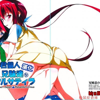 [流石堂(流ひょうご)][兄妹達のプルサティラ] のポスター