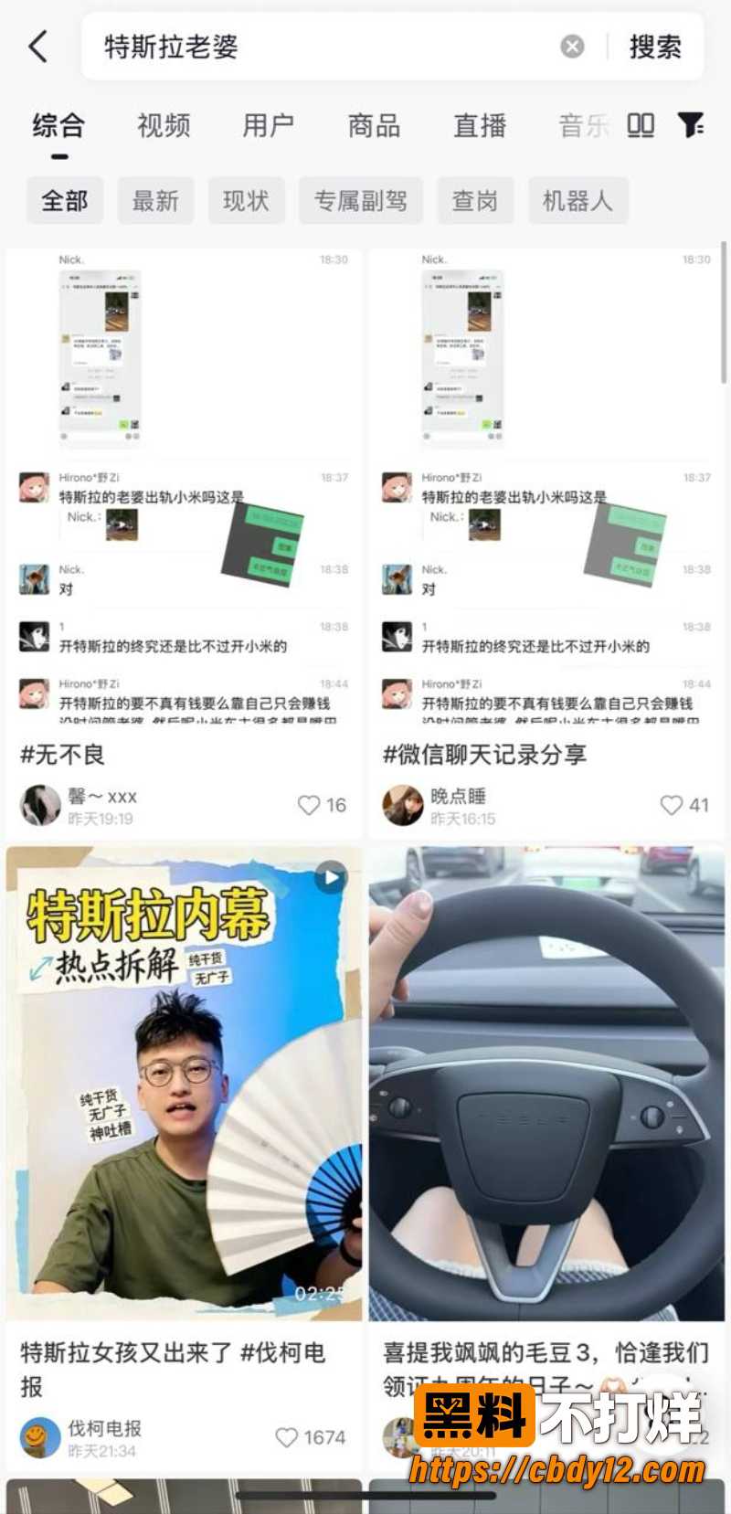 特斯拉车主的妻子 13