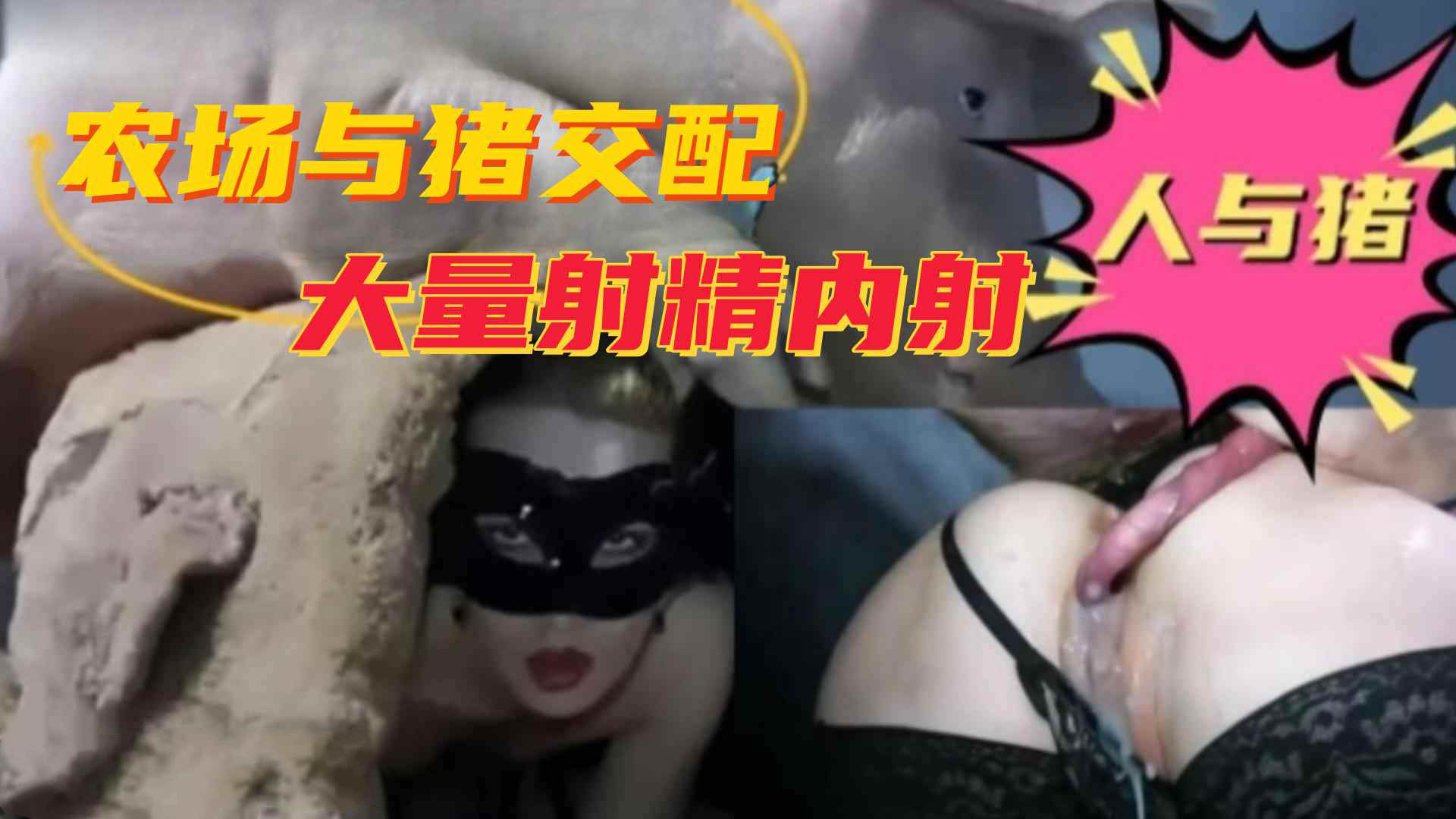 Плакат для 【人与猪】农场与猪交配，大量射精内射