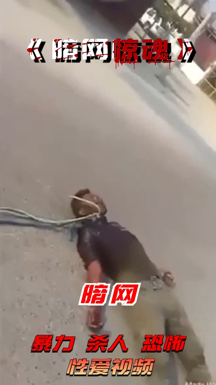 Áp phích cho 暗网