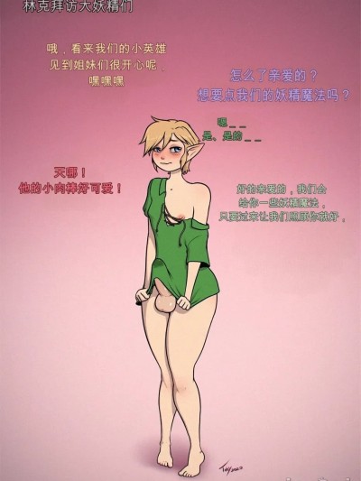 Poster for [闲的没事干AI翻译][Toby Art ]Link Visits the Great Fairies