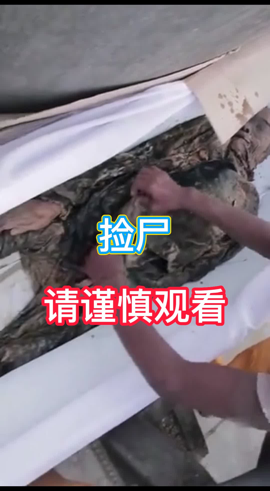 Áp phích cho 捡尸，请谨慎观看