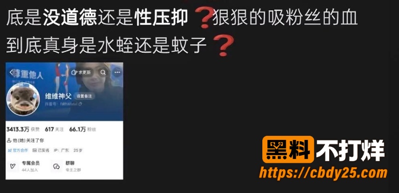 维维神父 3