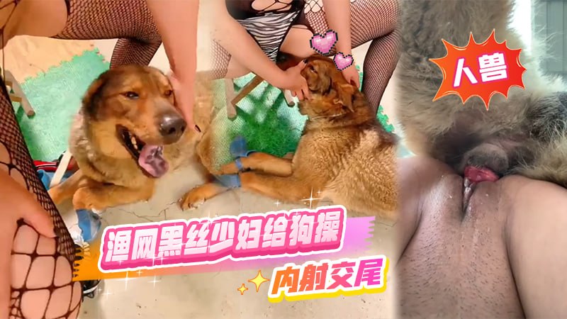 【人兽】渔网黑丝少妇给狗操，内射交尾
