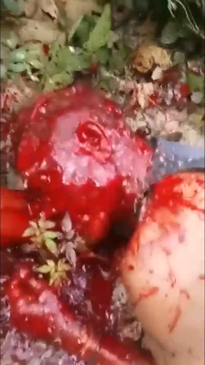 Плакат для 暗网重口，谨慎观看！杀人全过程