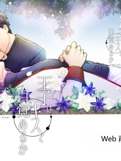 Poster para sa 王子会因为吻而醒来吗？
