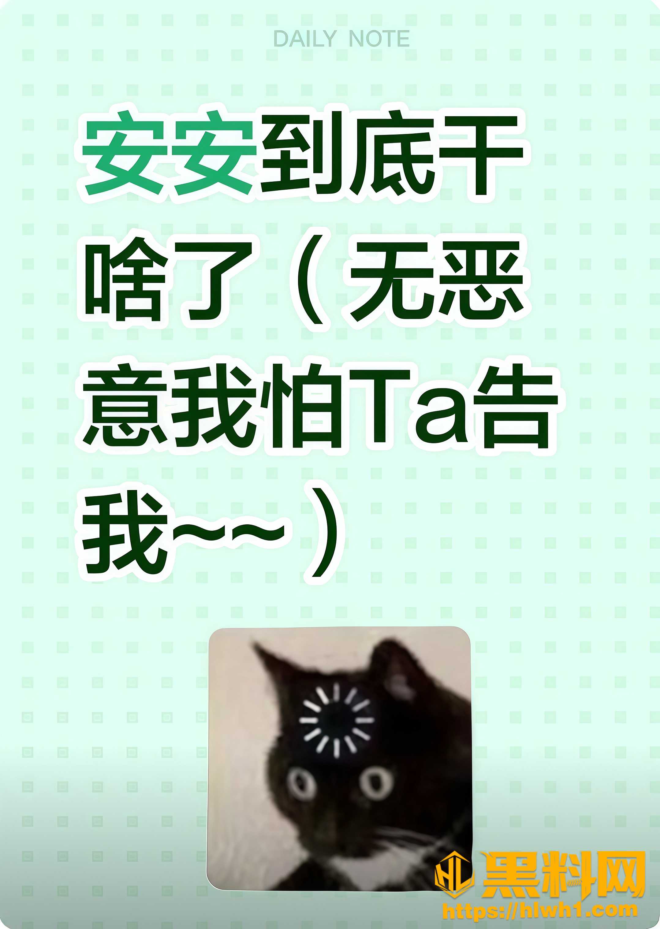 成都刘海英偷情风波 1