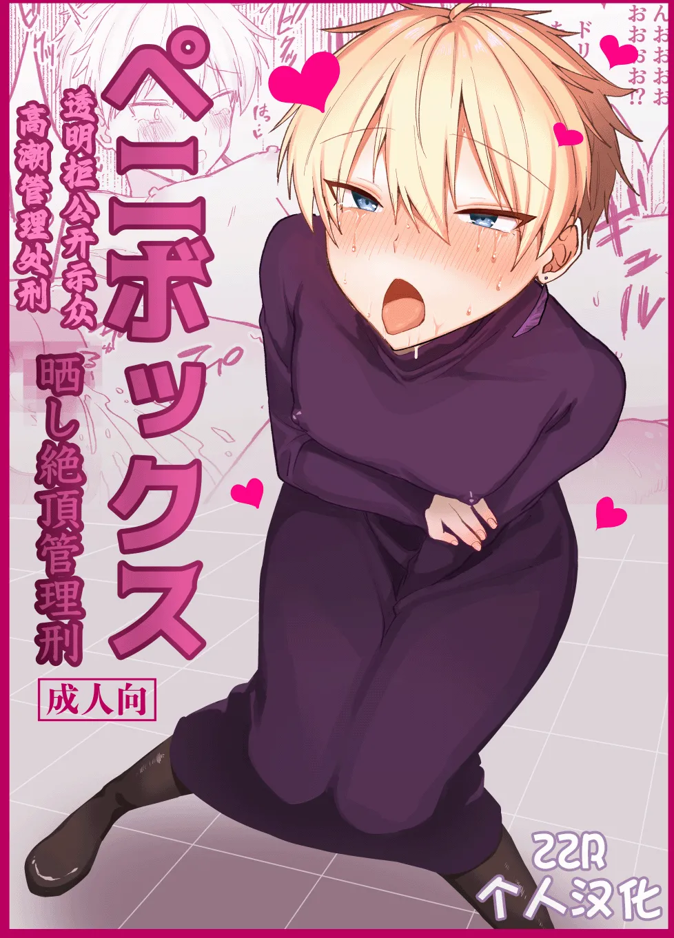 ペニボックス晒し絶頂管理刑 のポスター