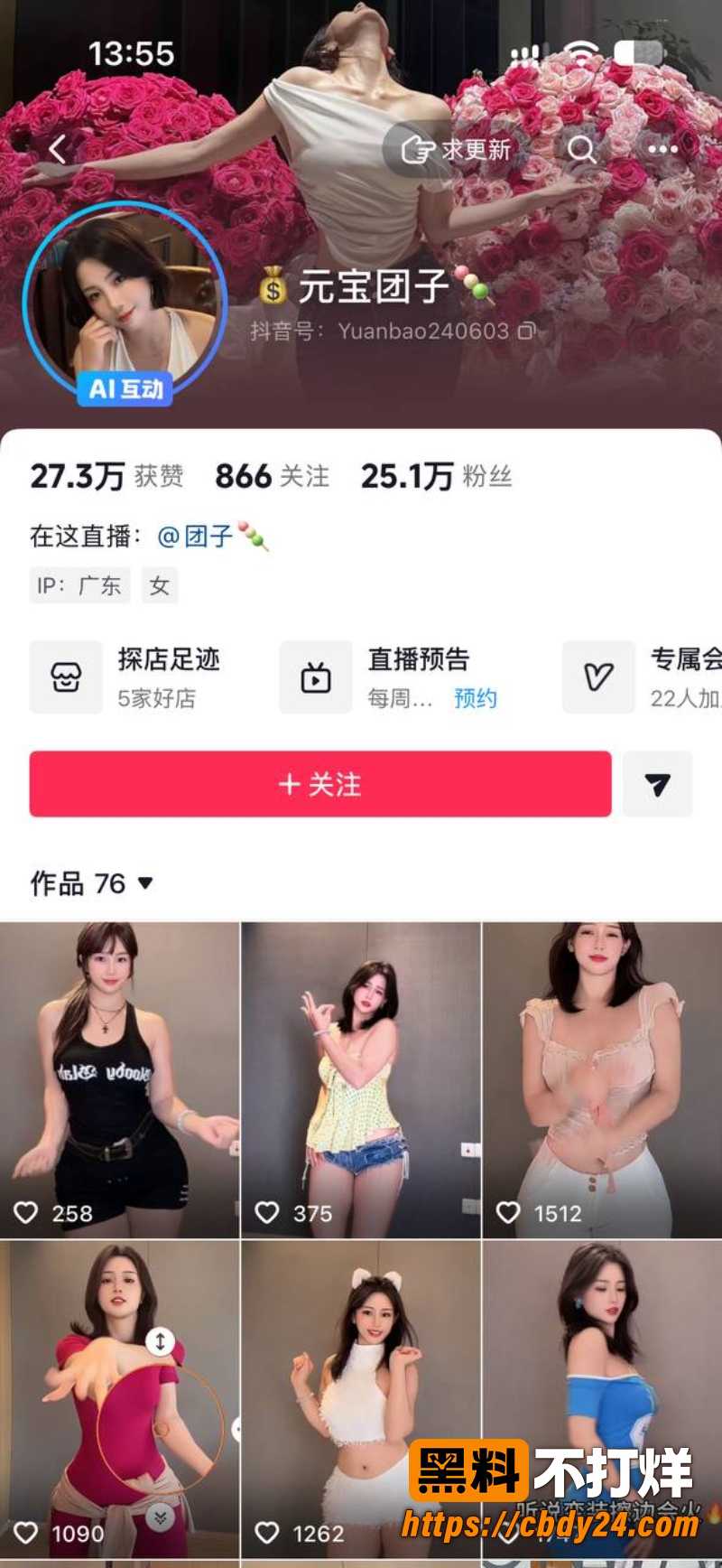 元宝团子 10