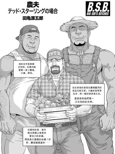 农夫泰德·斯特林的案例 [田龟源五郎] BSB：农夫泰德·斯特林的案例 [中文翻译] 的封面