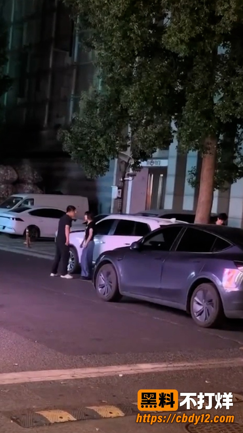 特斯拉车主的妻子 4