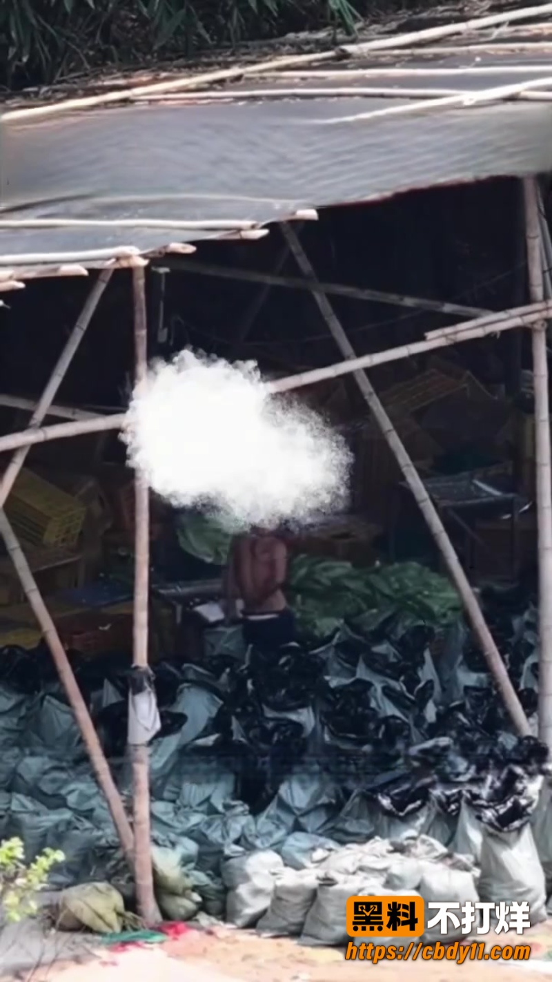 网红1