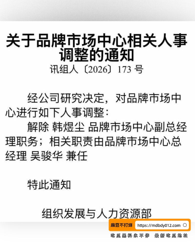 科大讯飞公关 (45)