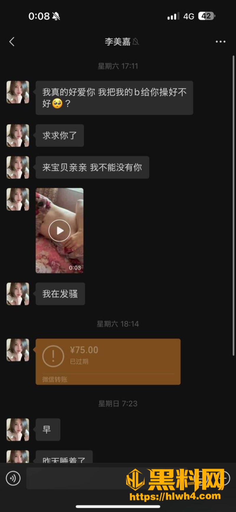 李美嘉