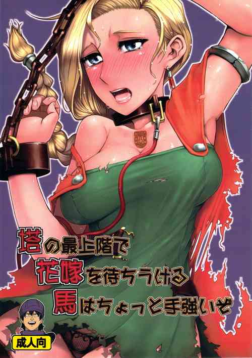 Плакат для (C81) [A・S・Gグループ (みそのう)] 塔の最上階で花嫁を待ちうける馬はちょっと手強いぞ (ドラゴンクエストV) [中国翻訳]