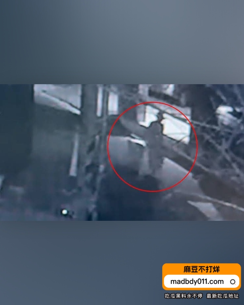 文文 (14)