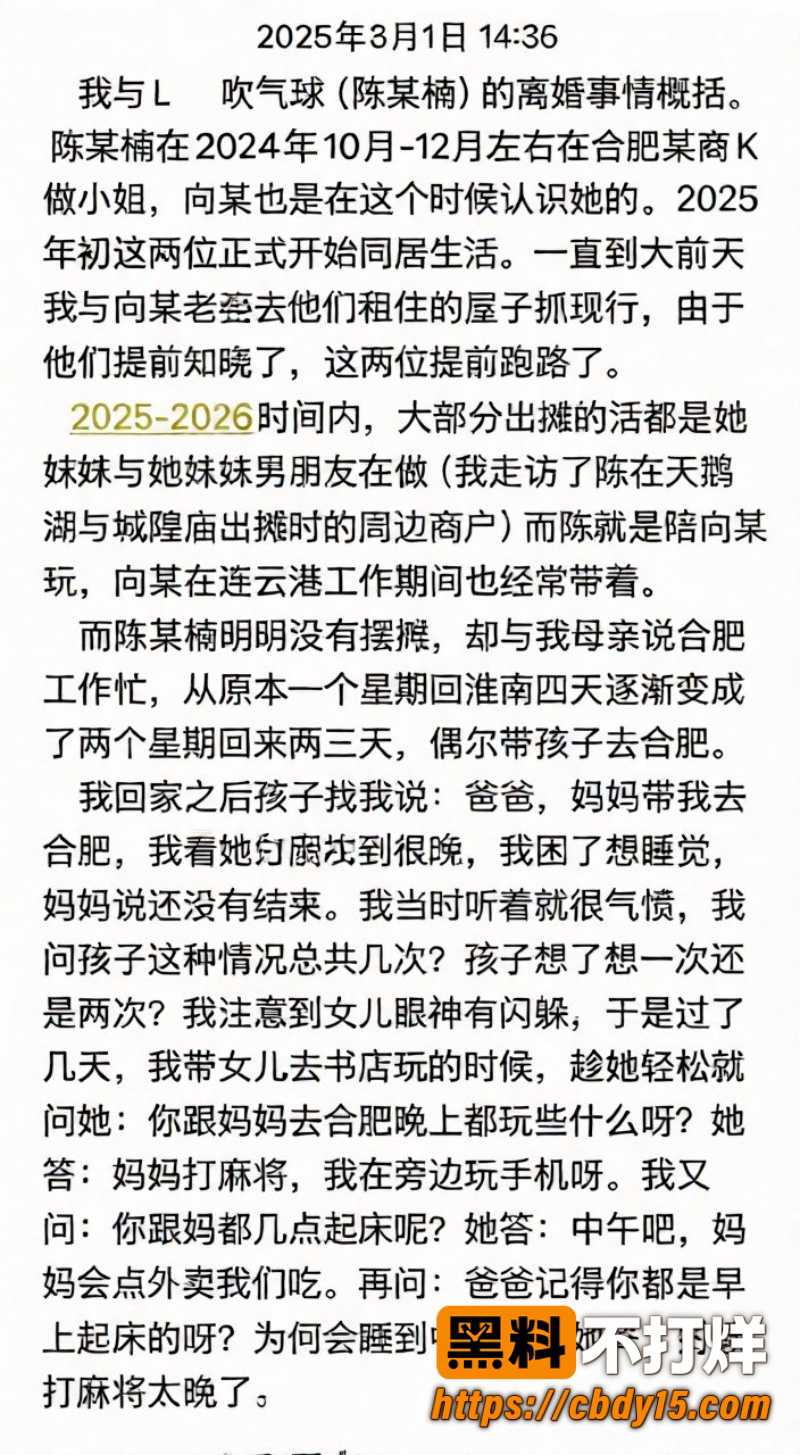 安徽网红L吹气球 17