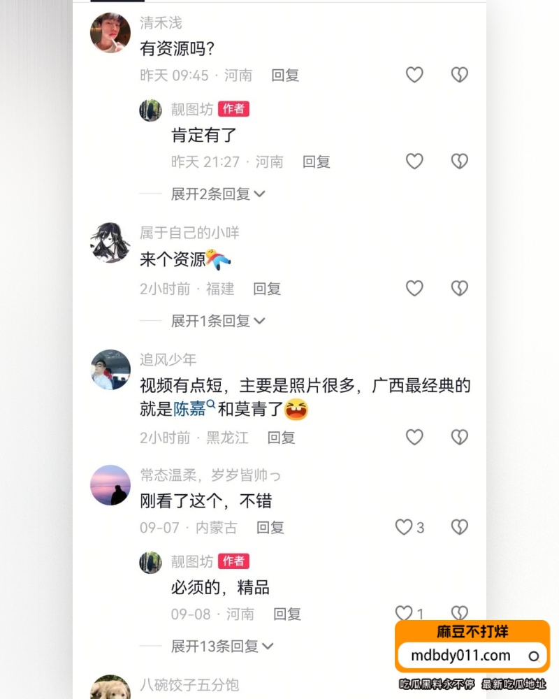 陈嘉 (13)