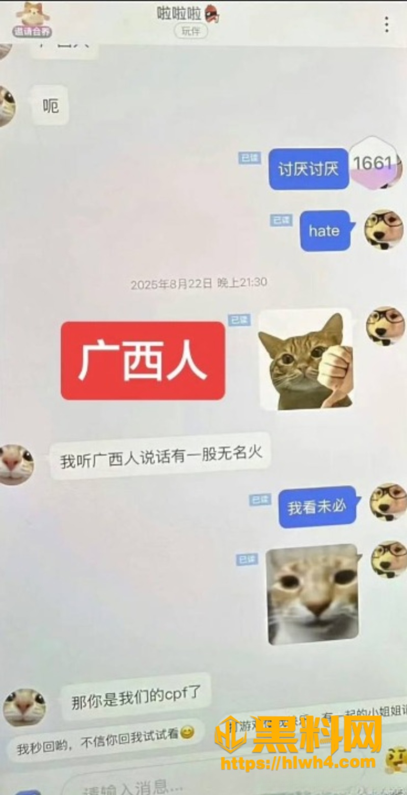 聊天记录 4