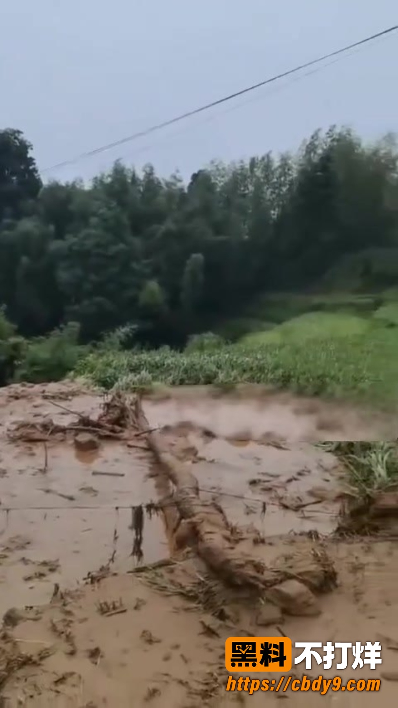 江西遂川高坪镇泥石流灾害 8