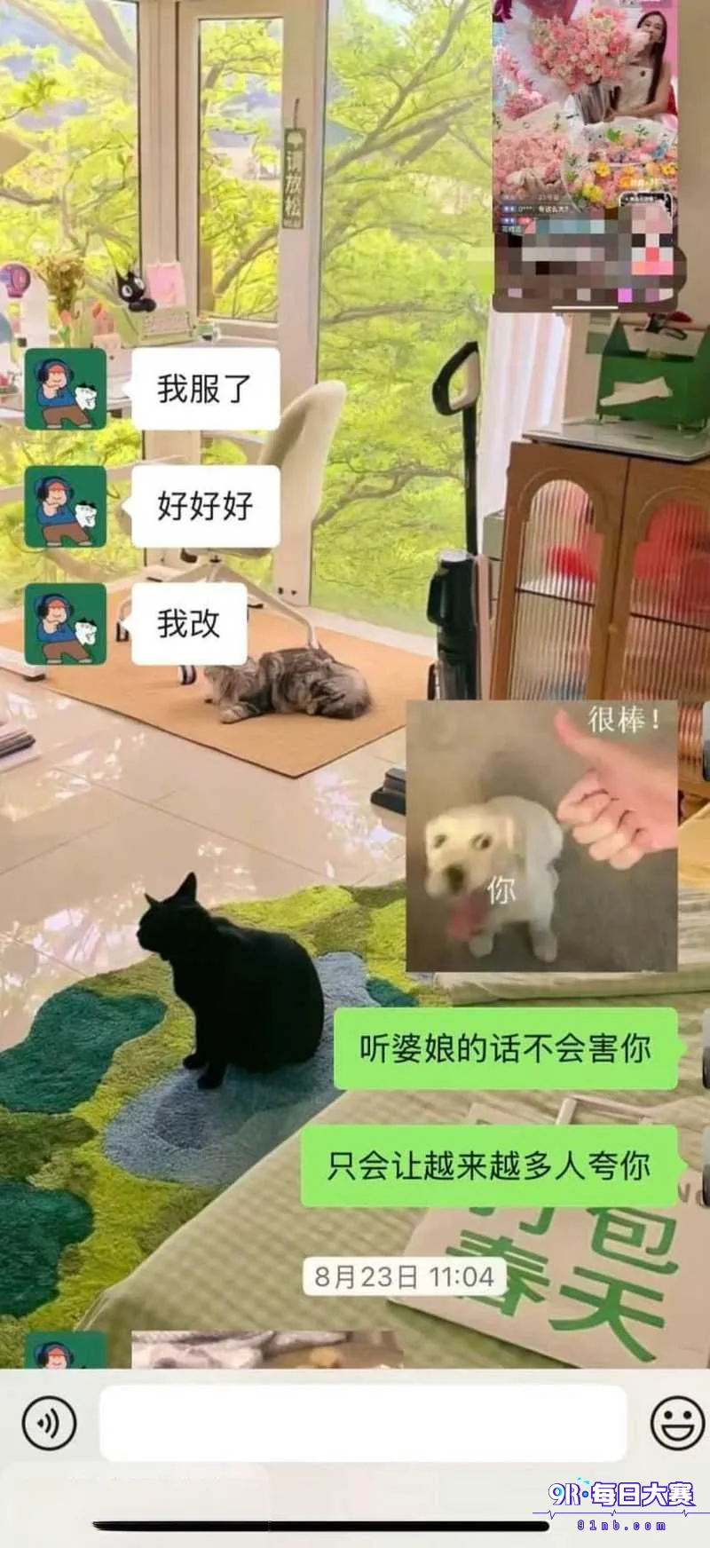 下载 (21).png