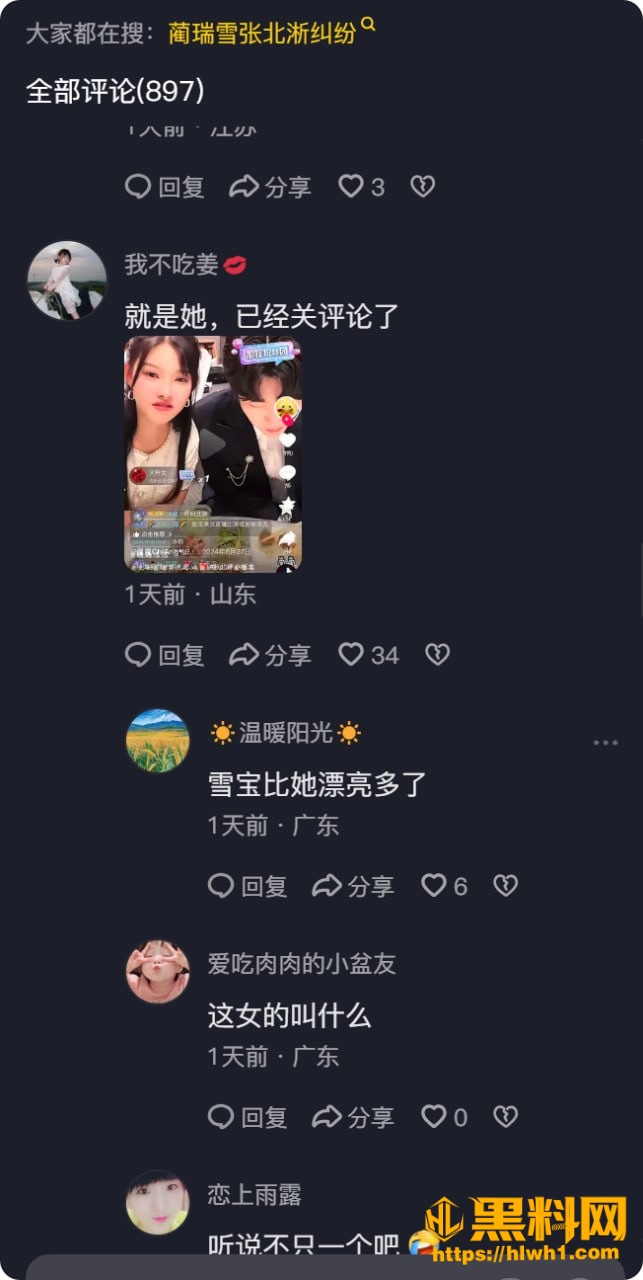 张北淅 4