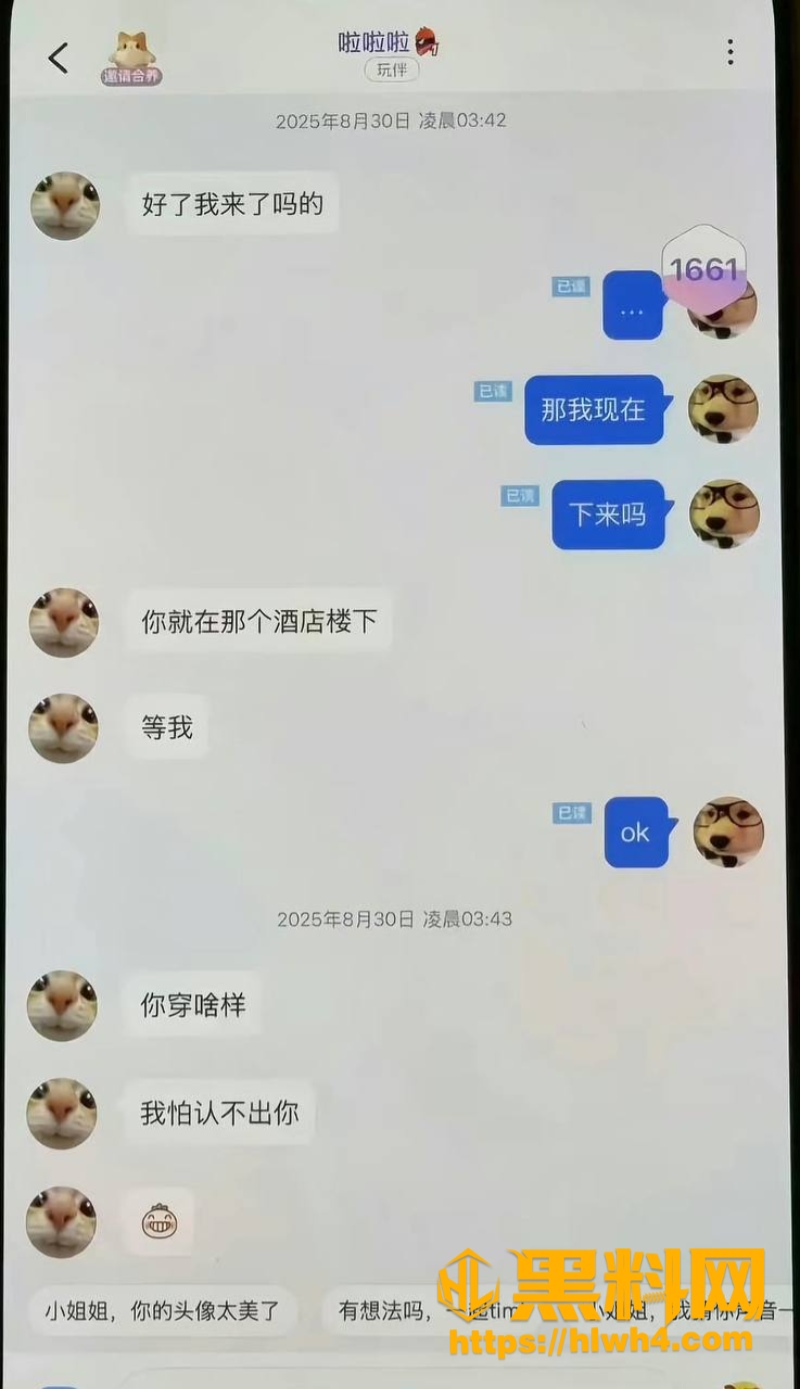 聊天记录 12
