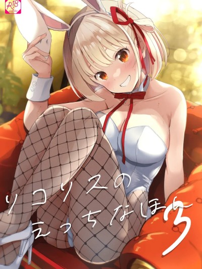 Плакат для 莉可丽丝的小黄本 3