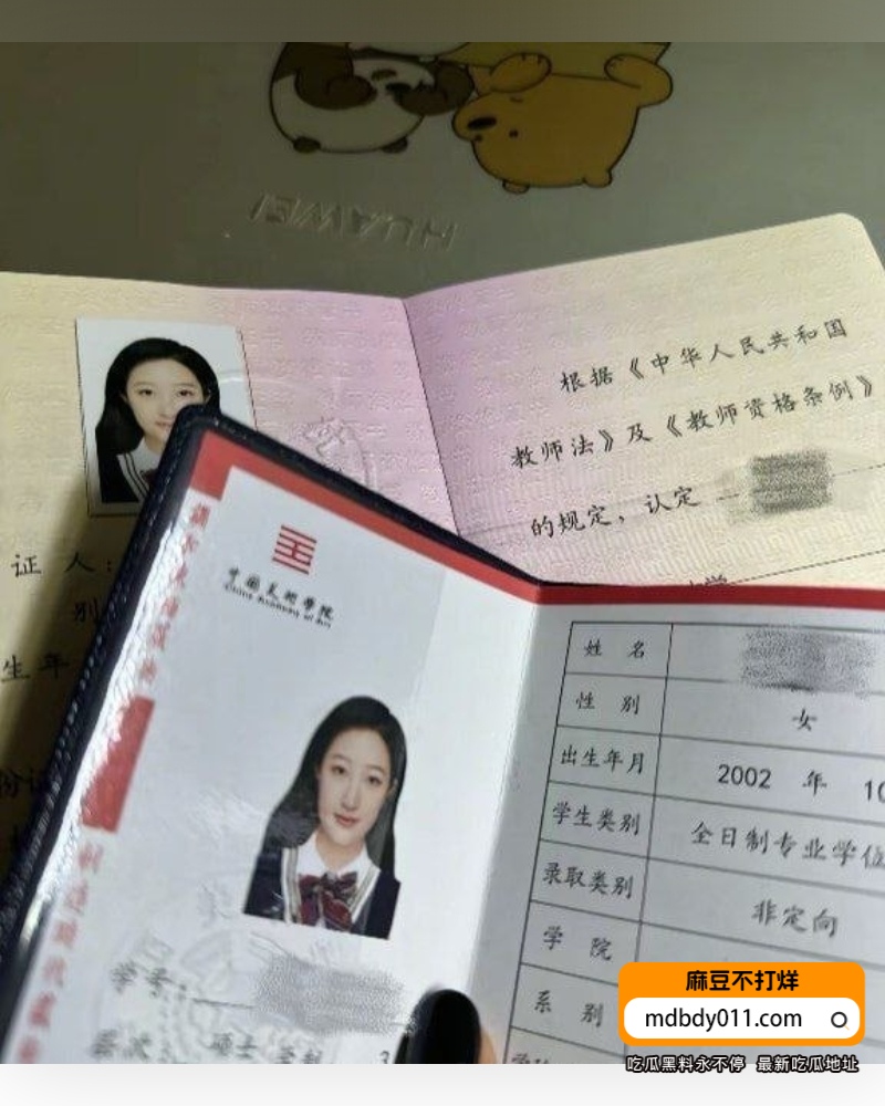 中国美院艺术系  (7)