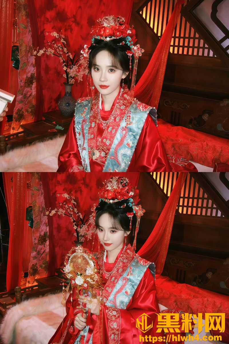 邢昭林开黄腔事件5