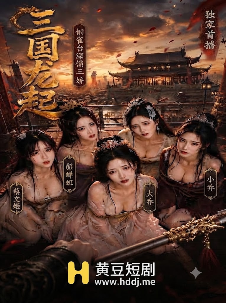 三国龙起 的封面