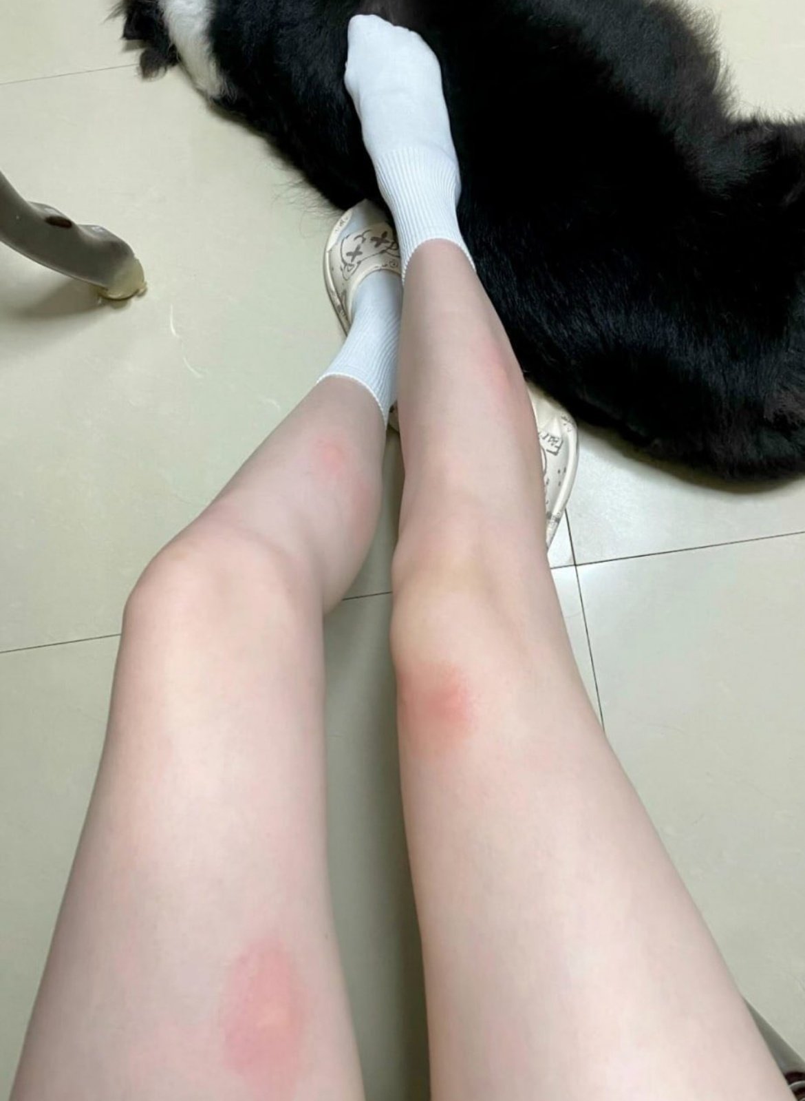 大家好大家好，我还是女高..你们不要太过分