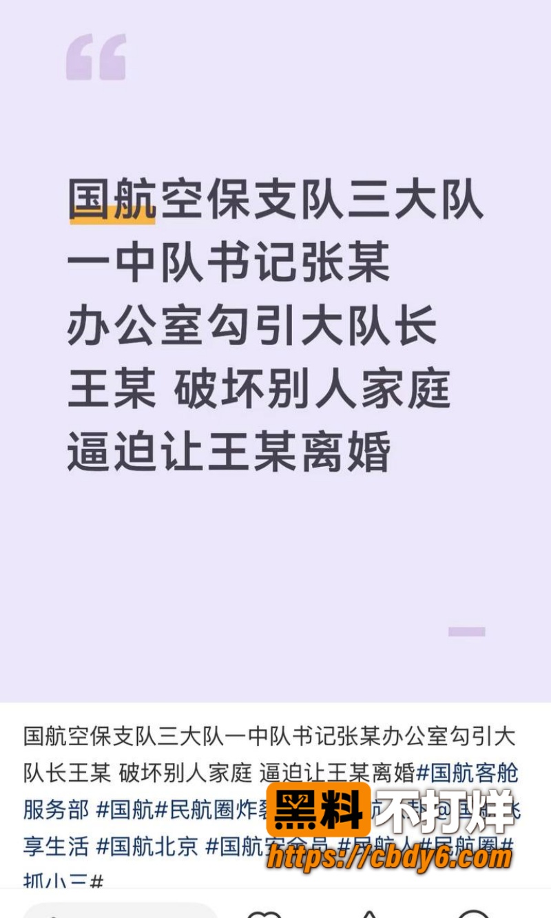 国航空保支队三大队长王成林1 5
