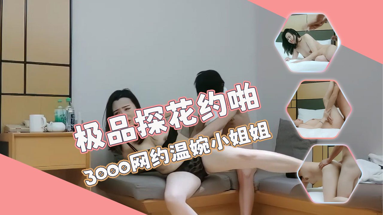 极品探花约啪 3000网约温婉小姐姐