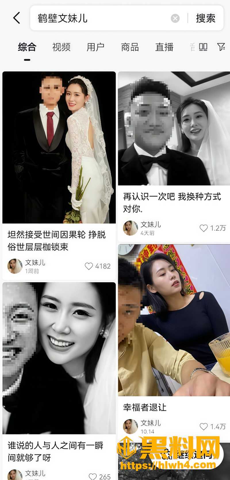鹤壁文妹儿事件3