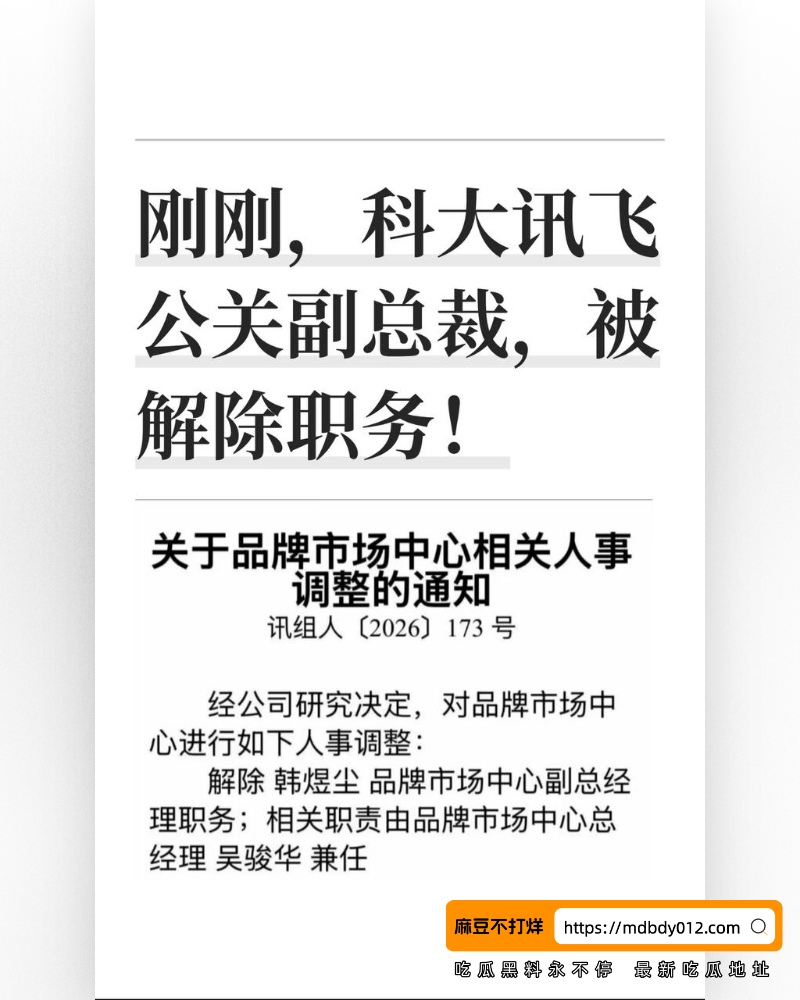 科大讯飞公关 (35)