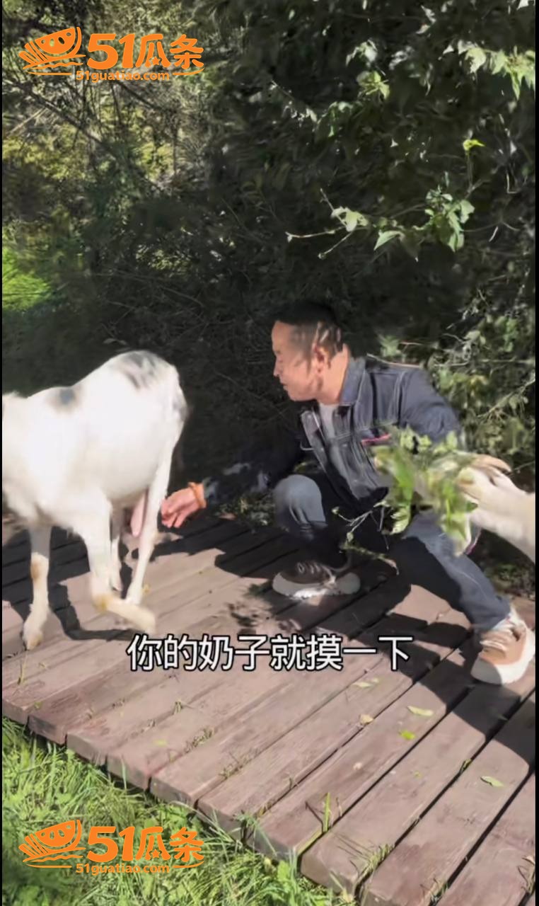 小钢炮胡春刚 深夜约相关图片23