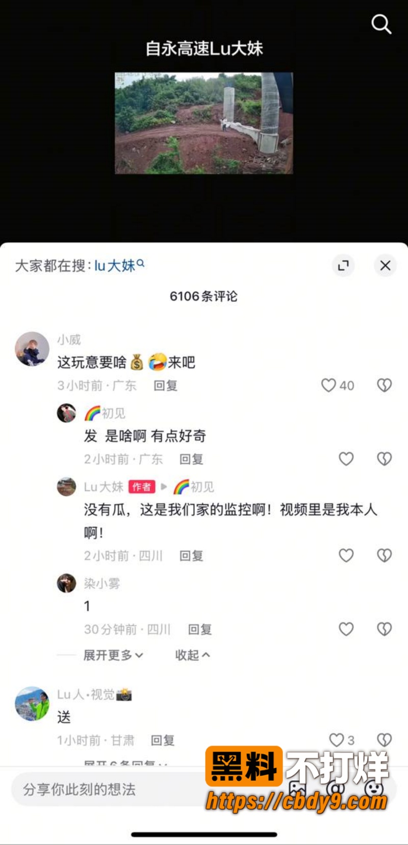 自永高速 Lu大妹
